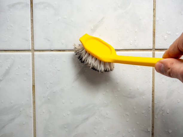 Best Home Mold Removal  in Mission, KS