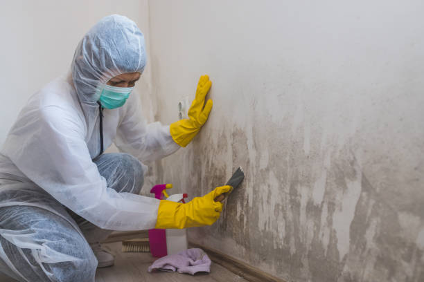 Best Water Damage Restoration  in Mission, KS