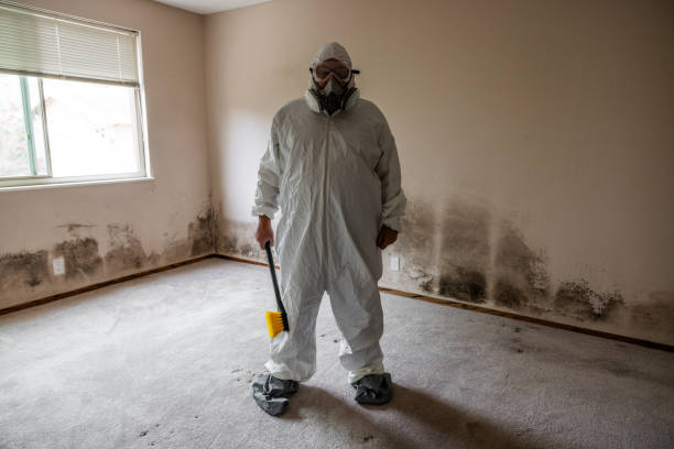 Best Toxic Mold Removal  in Mission, KS