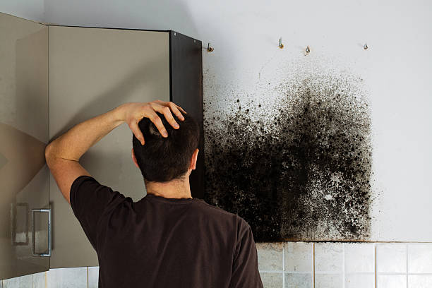 Best Residential Mold Removal  in Mission, KS